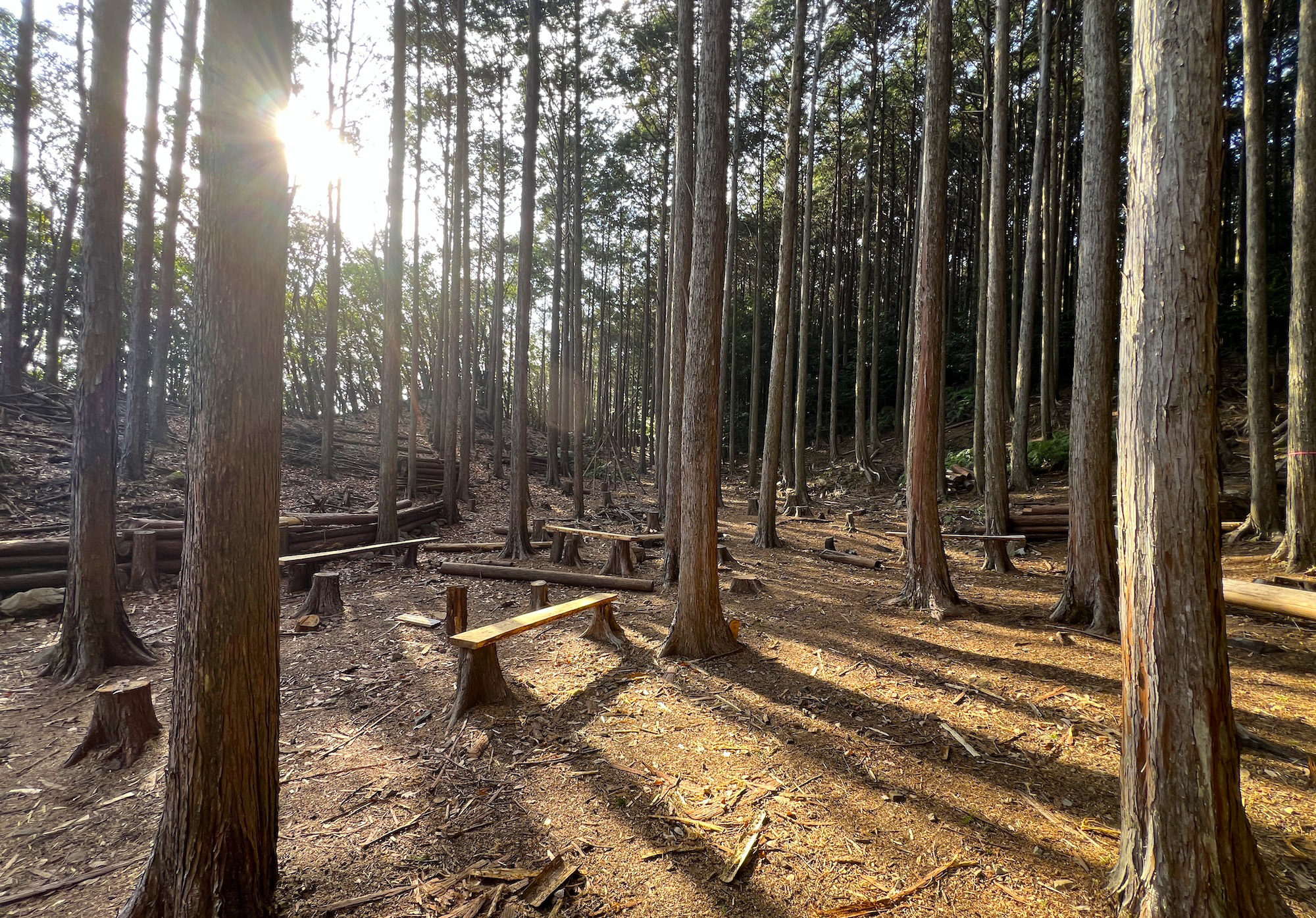 南紀熊野／熊野古道で気付く「体験価値」と人間の感覚